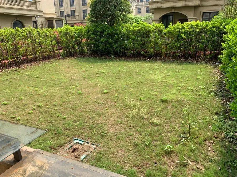 永康市山水御园小区拍卖一套房产,起拍价455万,无人出价