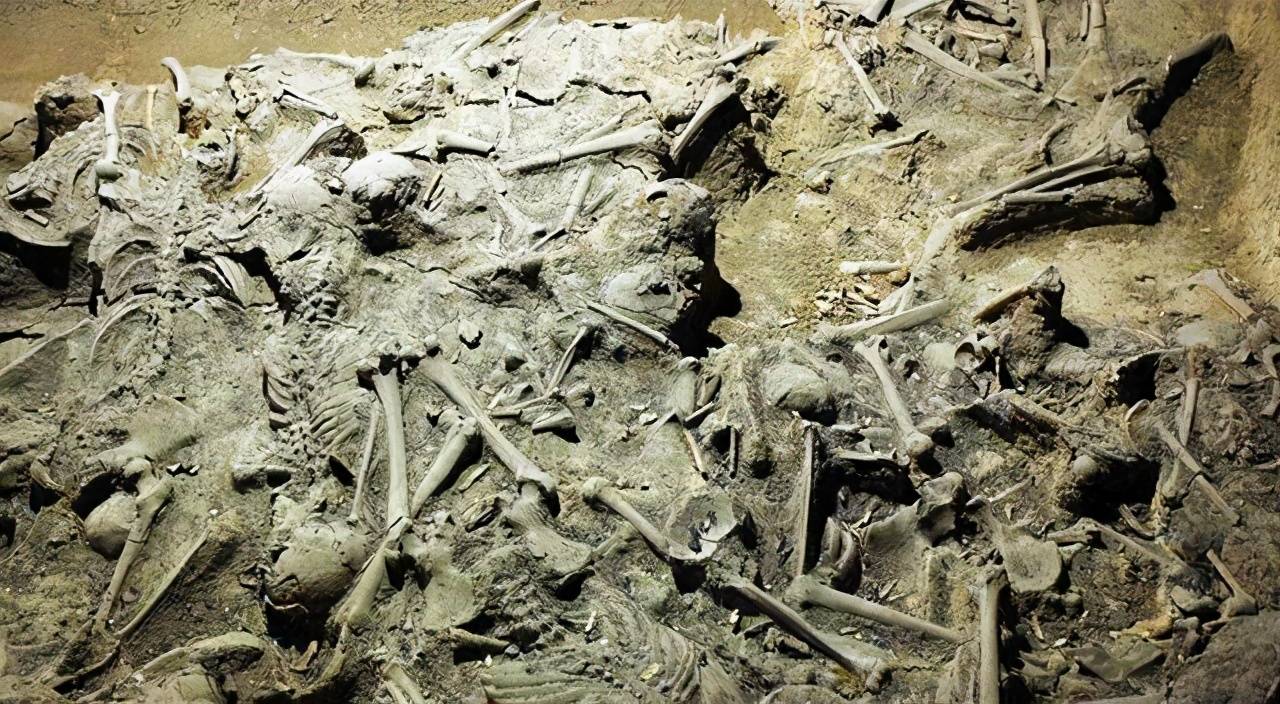 1995年山西一座村庄挖掘出层层白骨被证实是长平之战遗址
