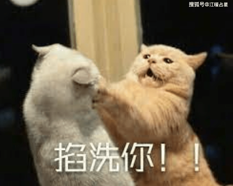 60a20031f94147beac3cc615bd4f1d11.png
