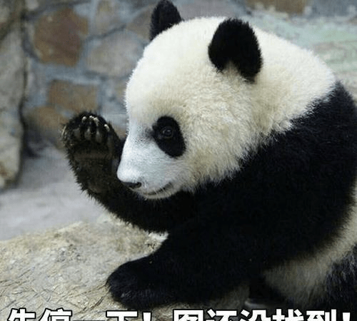 691d034b16784dd5914fcaba10a9c322.png