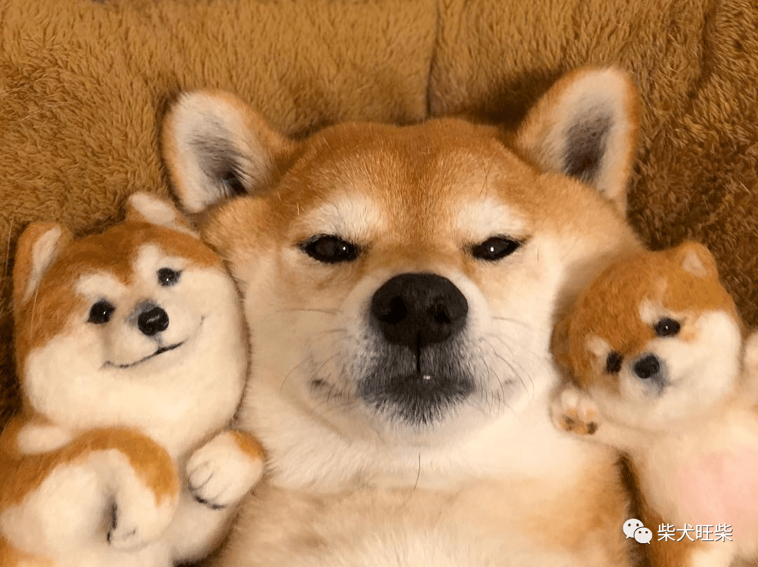 1b1ba076294848a9bce969d06e160b2c.png