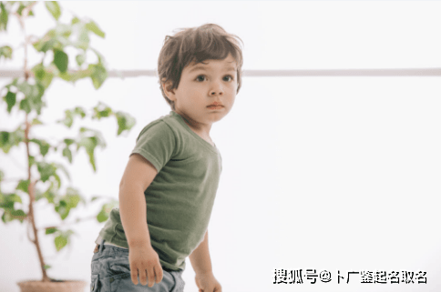 1e0067f1d32849e88a6acca2facadd2a.png