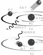 X射线原理金属靶是什么金属_钼靶检查是什么意思