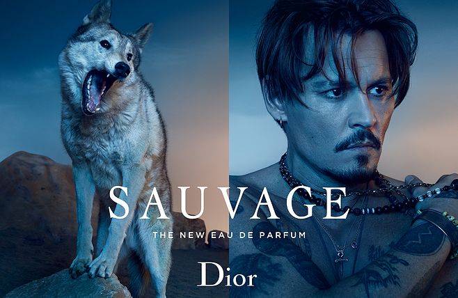 香水—迪奥旷野男士香水,充分体现出男人味,也是当今社会男人对香水的