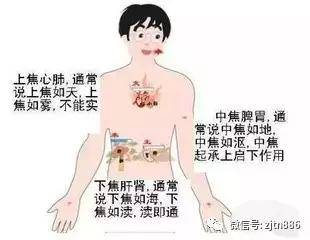 啥叫三焦 aa36ea6fdce743d88a50b4ba4652b116.jpeg