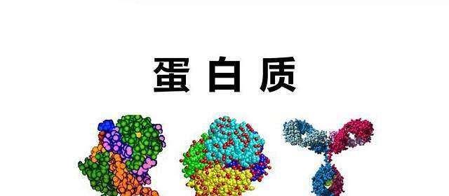 19a5aded34564ce1b1cdd296e4c7f05c.jpeg