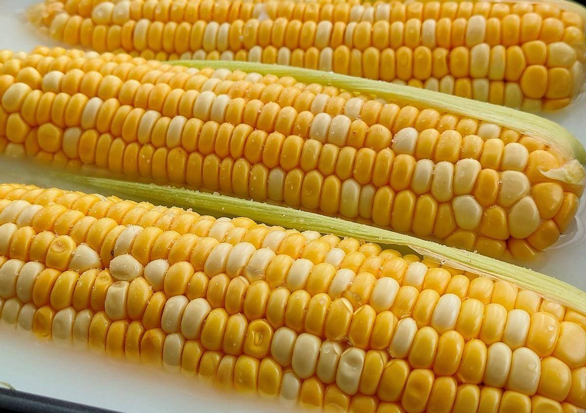 551f7111b42740cfaeeebb53aa9af96e.jpeg