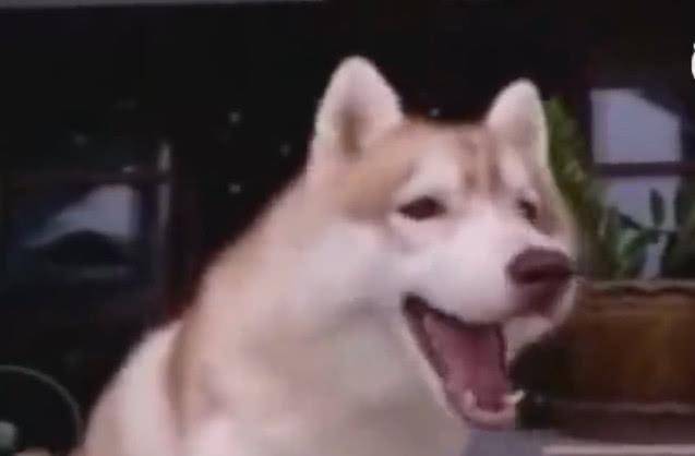 83942ff1d82c40d485dbdc56b32f964d.jpeg