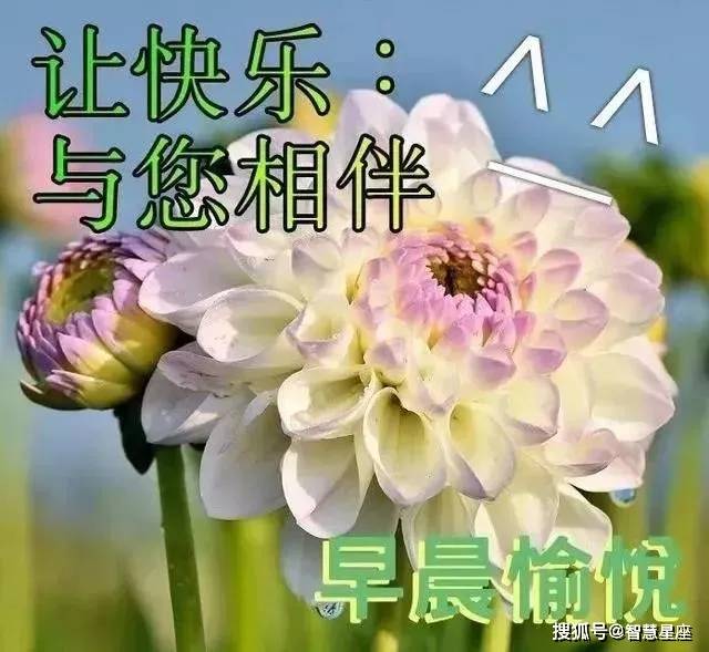 5月25日群发微信的早上好暖心问候祝福语 超好看的早上好动态表情 那就当