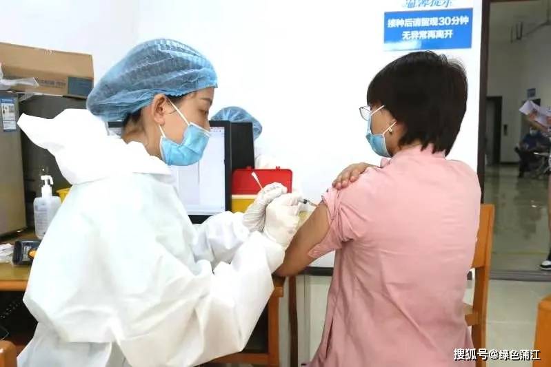 小编带你直击我县打苗苗现场!