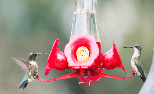 亚马逊销售排行榜_亚马逊销量悬崖式下降!20天销售2万件,留评1w+,冷门类产品也有...
