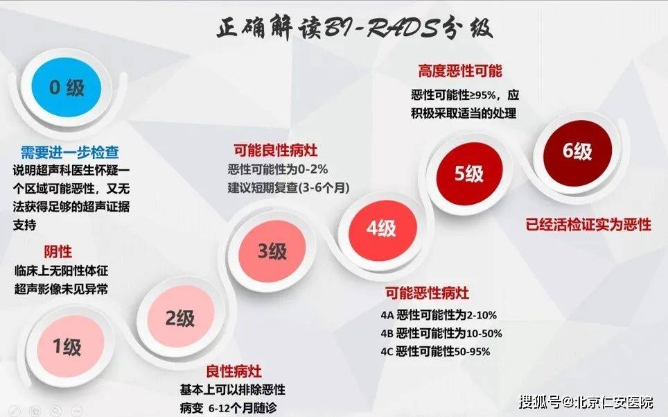 birads3类是什么意思图片