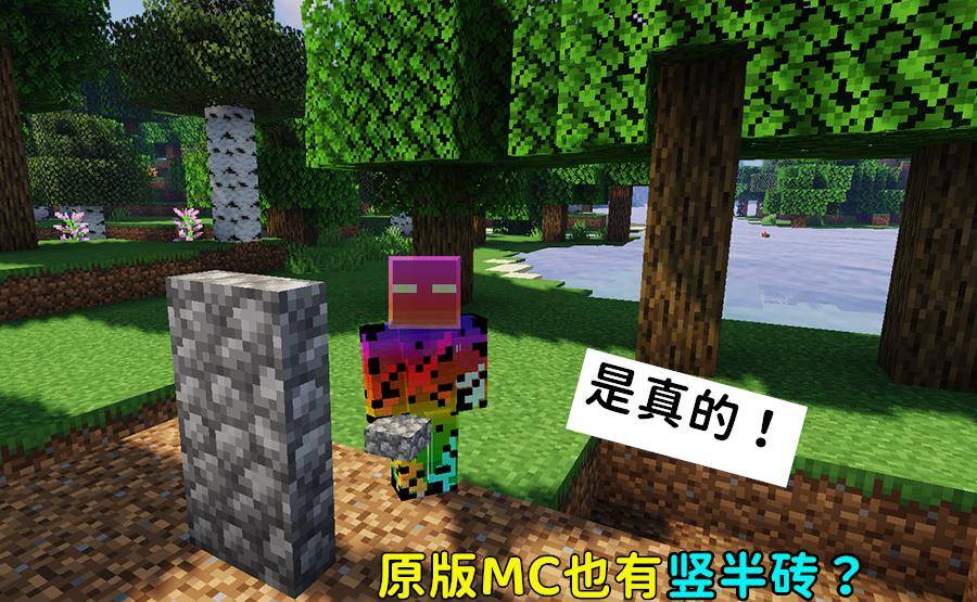 我的世界 Mojang为何不加入竖半砖 因为它一直都存在于游戏中 方块