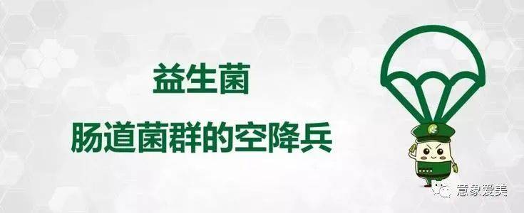 人體內有百萬億益生菌,為何還要補充?_腸道