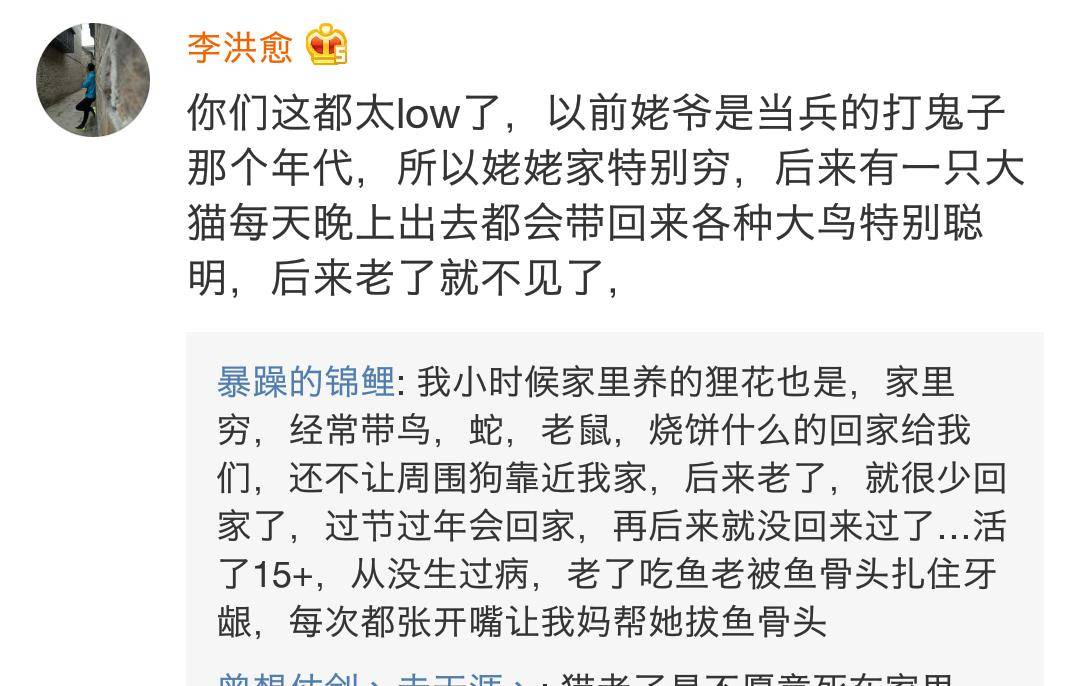 一只小老鼠简谱_小老鼠上灯台简谱(2)