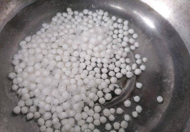 夏天的绝佳甜品 芒果西米捞 口感清甜超解暑 食材