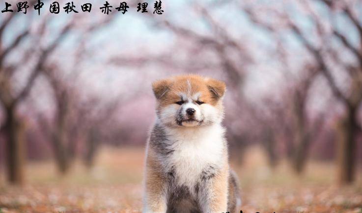 ef8b06d205484ed7a04cdc9a60755b52.jpeg