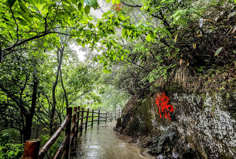 然而在眾多的竹海之間,靈溪山風景區,必定是其中一個風光無限好,又