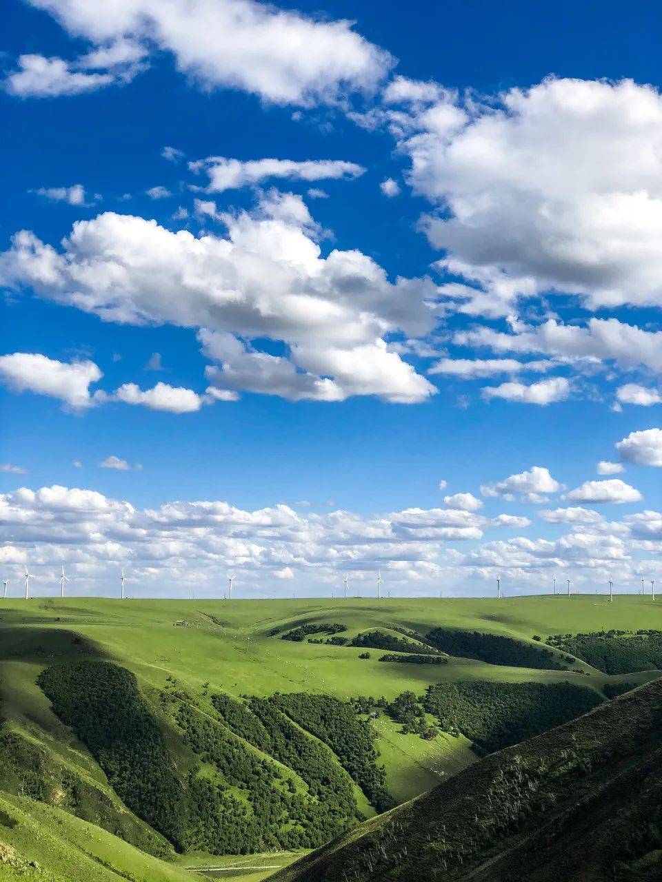 绿茵茵的草地覆盖着连绵起伏的山峦,羊群贪婪地嚼着又肥又嫩的草,夏天