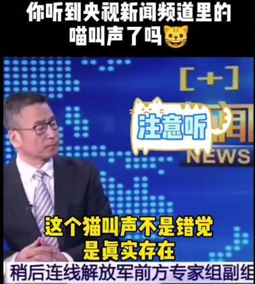 央视新闻直播出现猫叫声不算播出事故但需要引起注意！