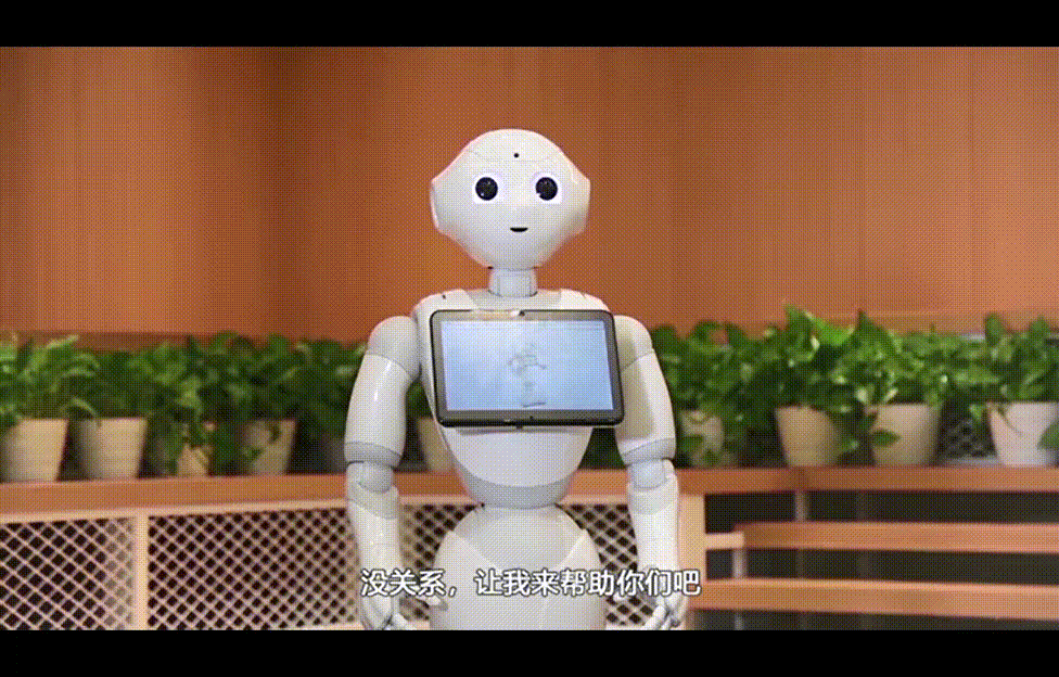 ai时代已开启机器人正式进入教学课堂快来认领你的pepper老师