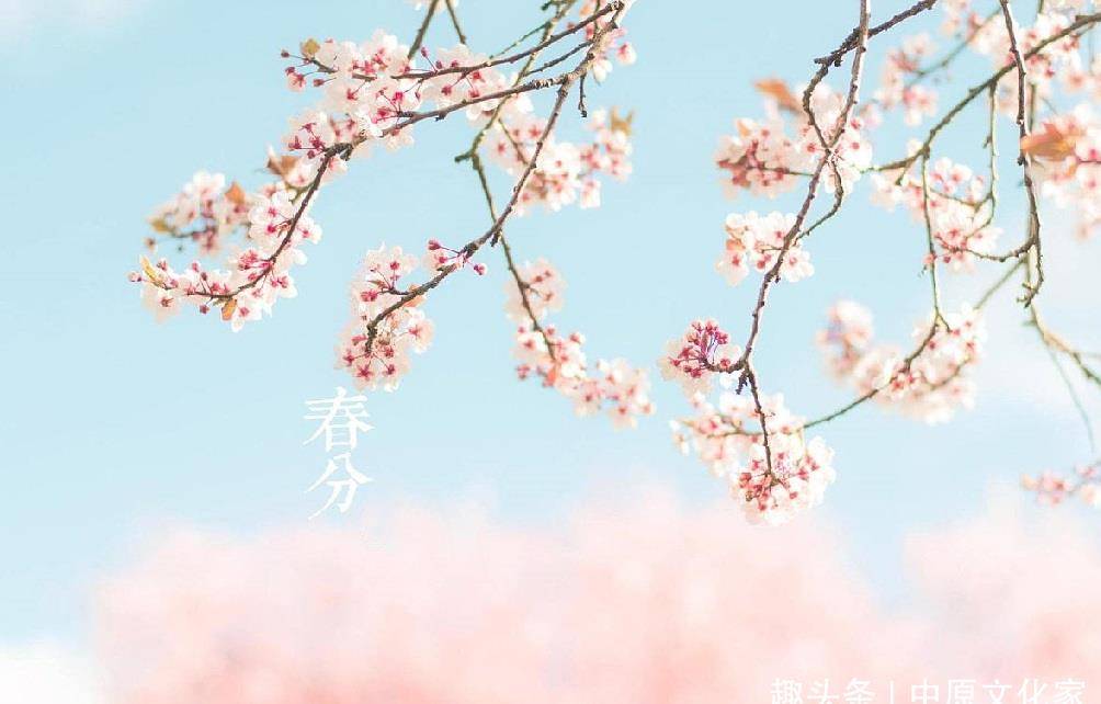 32a2d932ff764238bf21530f6a0ffb2a.jpeg