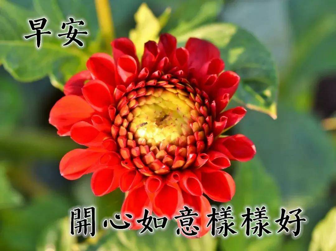 早安精选祝福早上好温馨祝福图片清晨给自己一个微笑