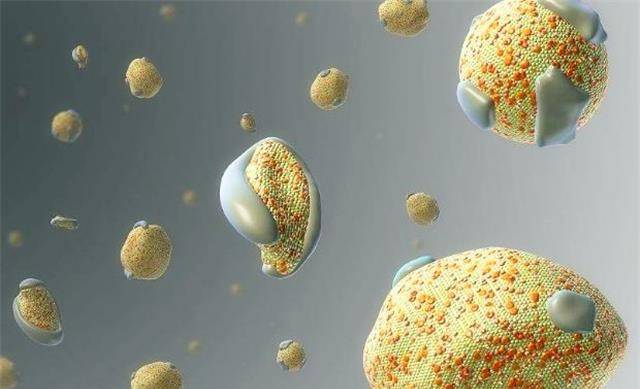 高密度脂蛋白与低密度脂蛋白区别 78216bd2b5744b298f864a4464a16e26.jpeg