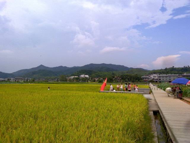 c075265a87eb4a06ba55003e2985494b.jpeg