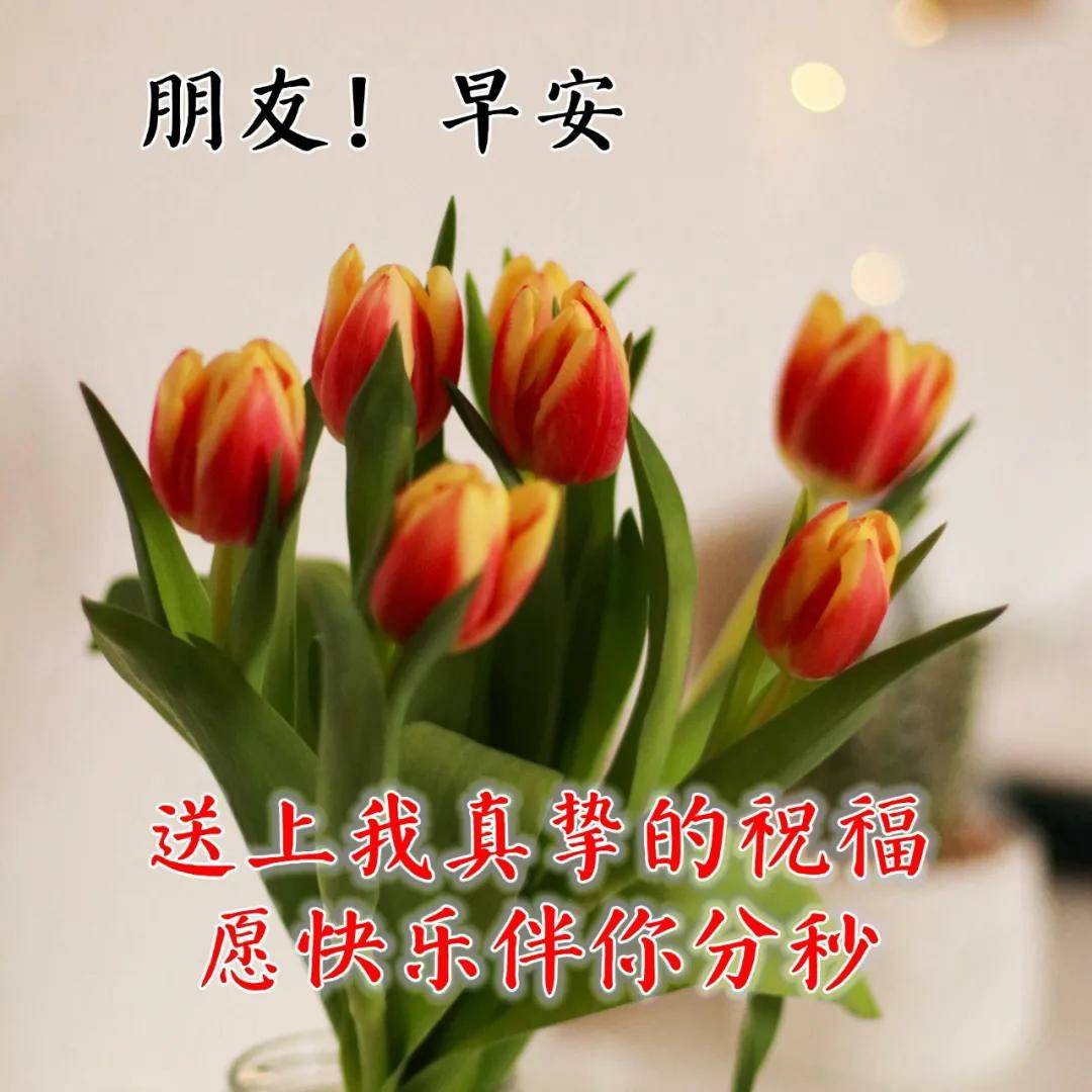 原創早安祝福精美圖片早上好祝福詞語朋友圈溫馨祝願