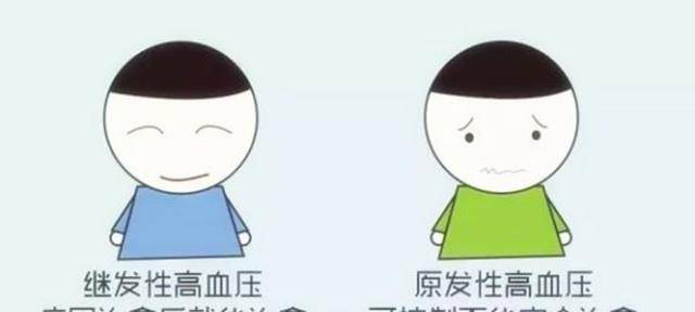 1f586ceb89b04c9291cbc6c585c143df.jpeg