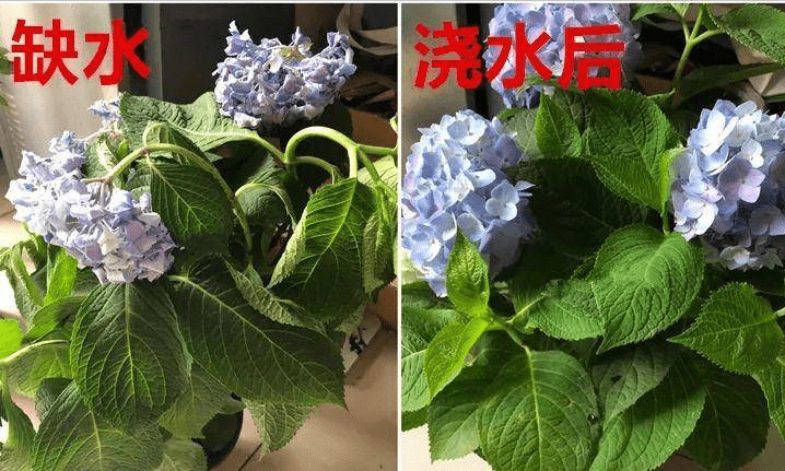 d7ce9fb0503045959fefe1d44b2d6bd4.png