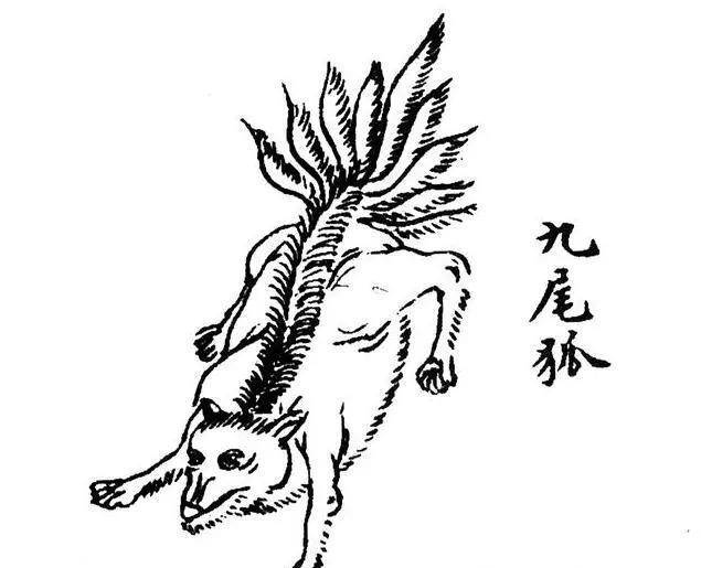 《赤狐书生》上映,狐狸为何从祥瑞的象征,变成诱惑世人的狐妖