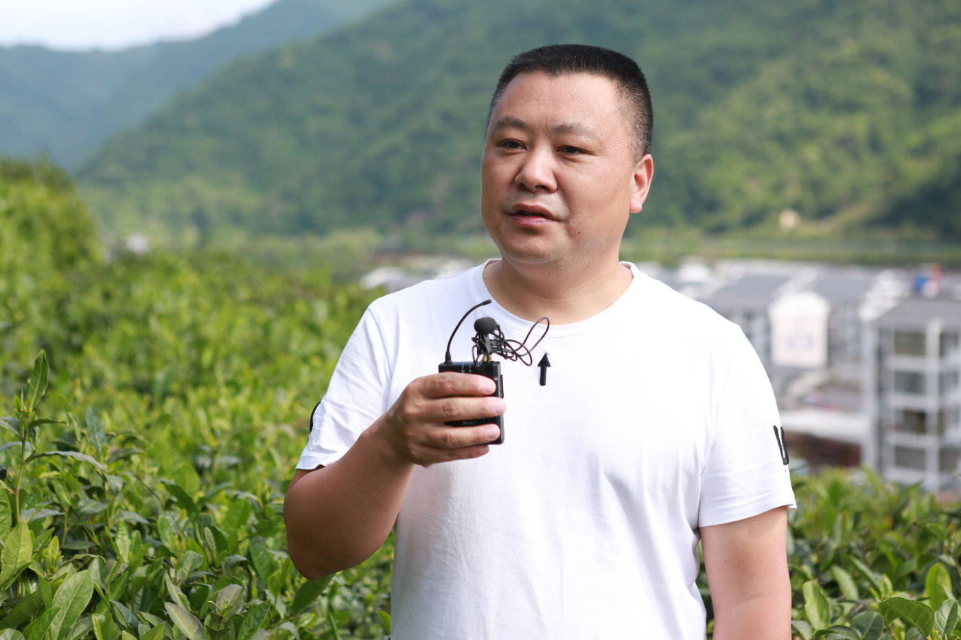 公司负责人罗来军介绍,他们拥有无公害茶园和国家级绞股蓝种植基地共