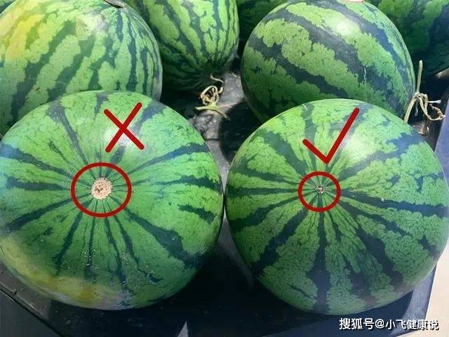 8e279f4dee6e410ca05910f1b596625a.jpeg