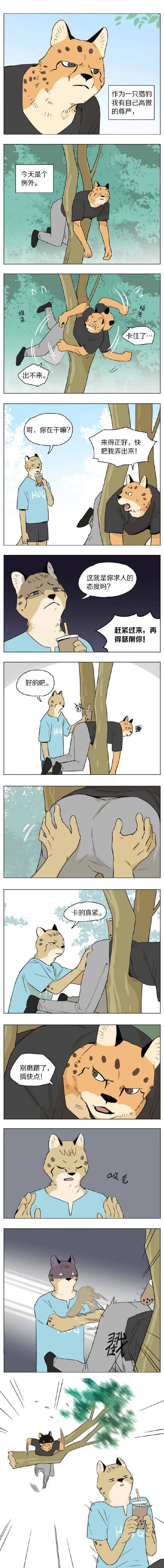 「拟人化漫画」被树卡住的猎豹