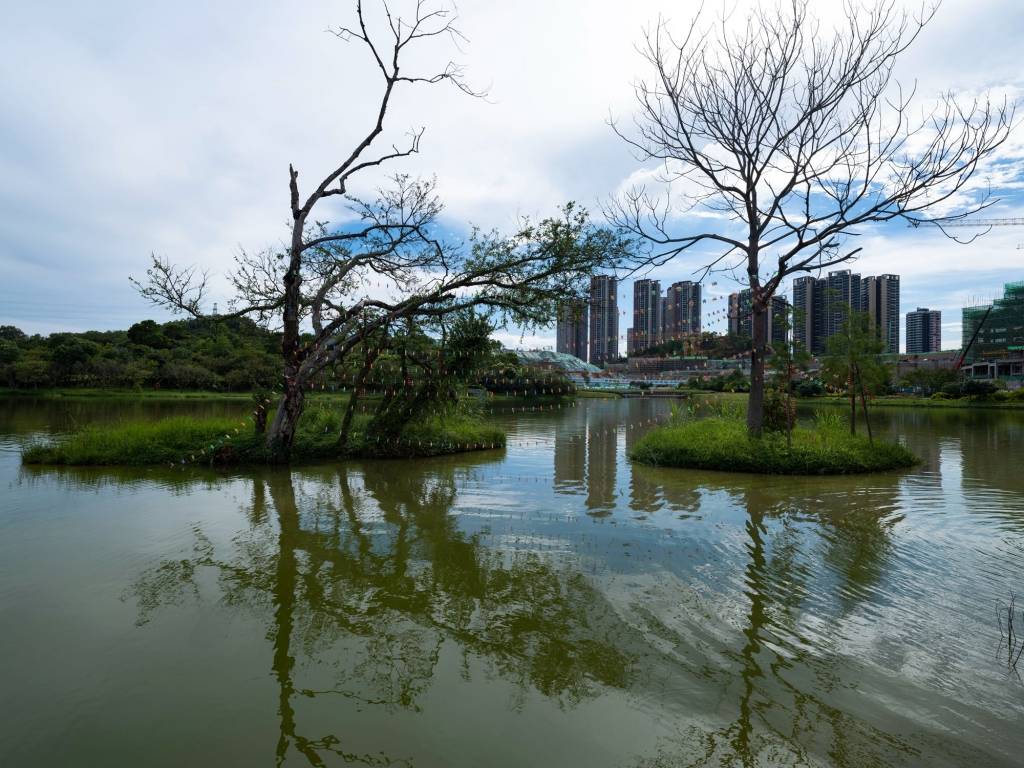 龙岗河湿地公园掠影:绿草茵茵水清见底,雨后来打卡更佳