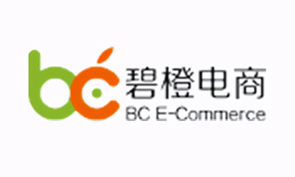 淘宝网排行_嘉兴淘宝代运营公司排名