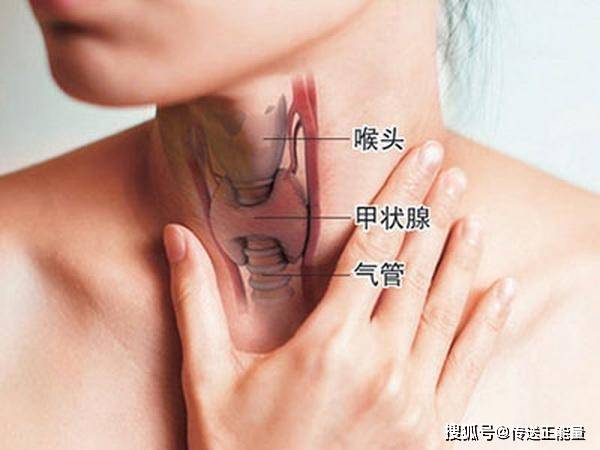 甲状腺癌并不是突如而来!身体发出的这个信号,多少人忽视了?