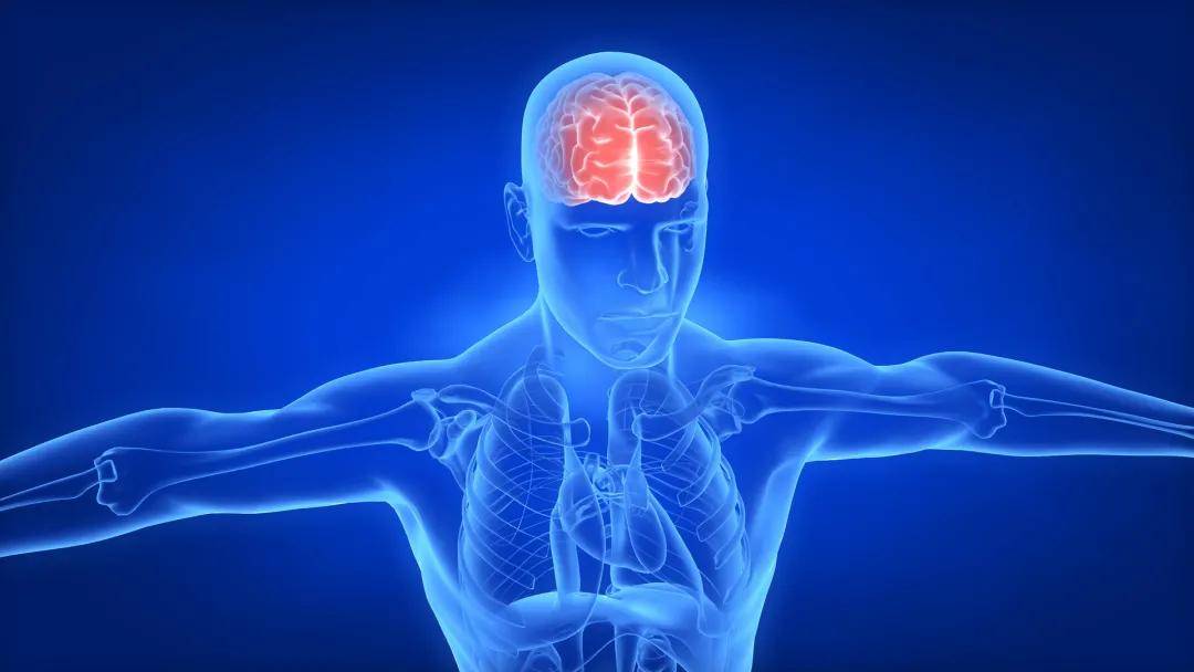 什么原因会引起神经痛的症状 7ec056a418034146a1077d8123036626.jpeg