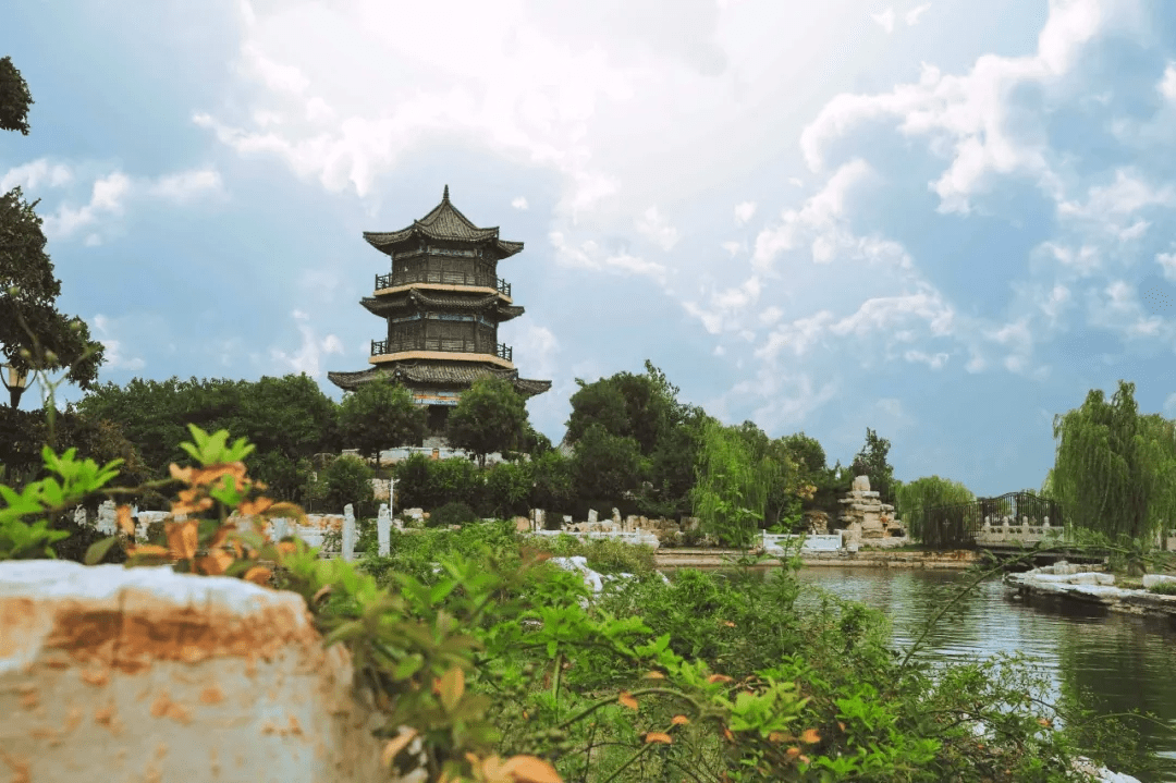 聊城的夏日美景已备好你来或不来