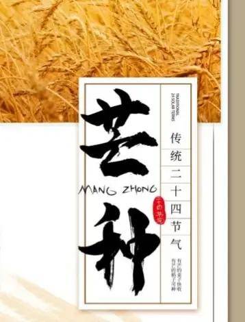 什么味香成语_成语故事简笔画(2)