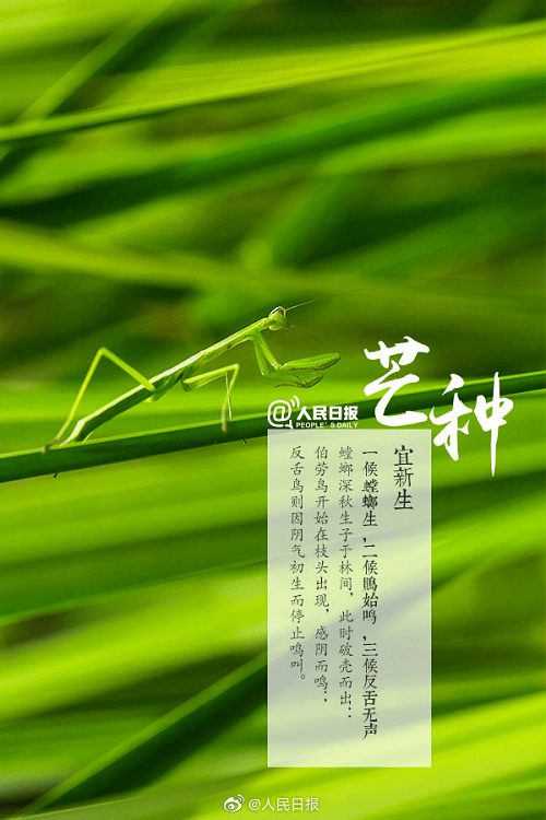 a9cbf3354ab143f3b2c2b41be0d2592f.png