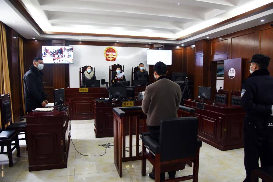 判刑3年,罚款8千!眉山一男子砍树5棵结果遭惨了