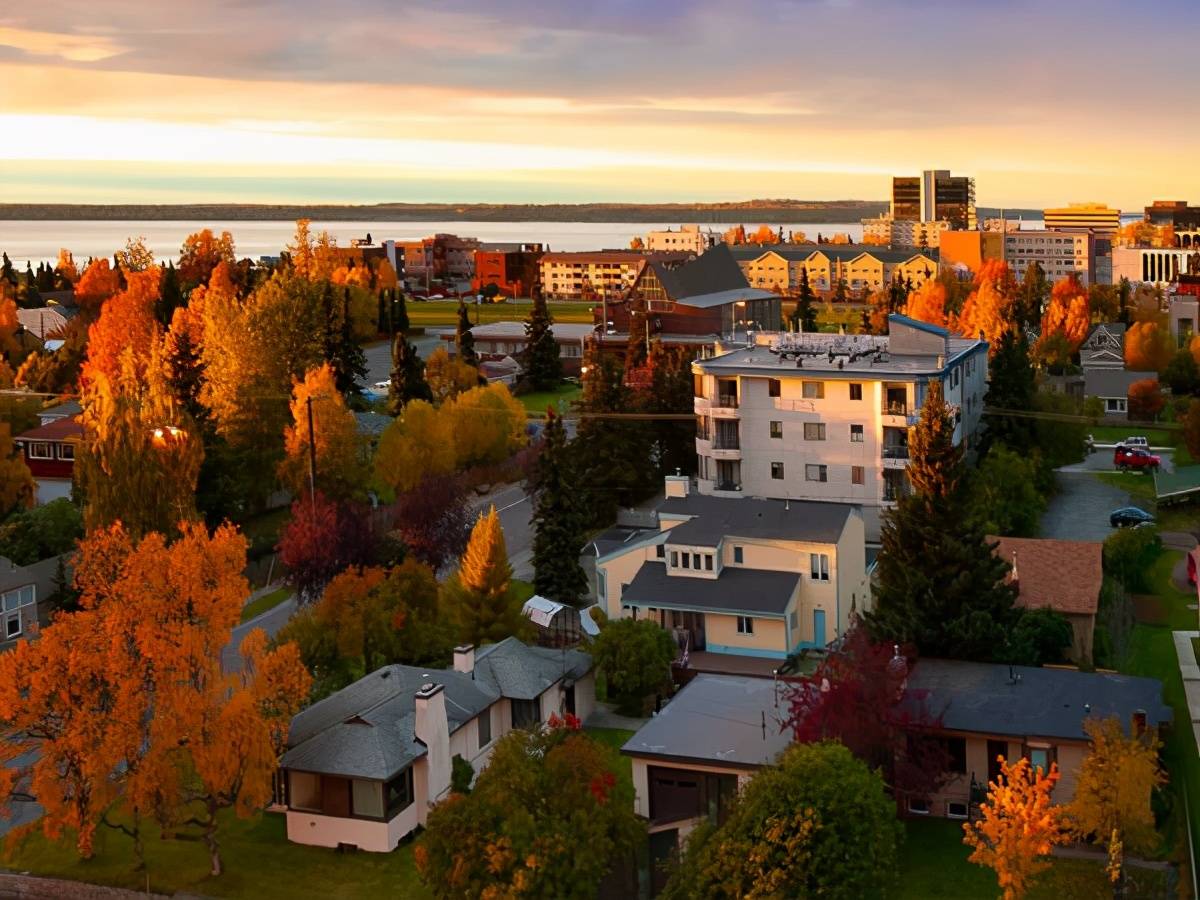 新移民的文化冲击四阶段在融入国外文化方面是否走错了方向