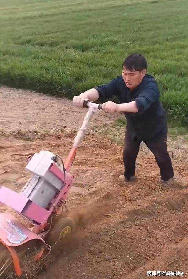 原创大衣哥有收割机不用故意亲自割麦子作秀引发网友热议