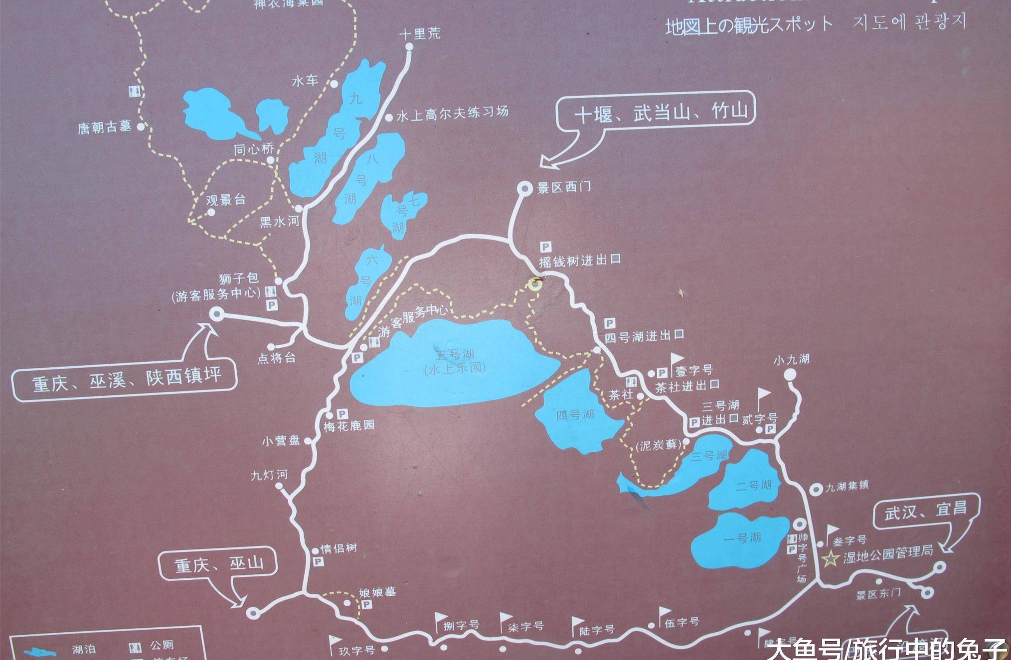 因"野人"传说而声名大噪的景区,处处透着野性美_大九湖