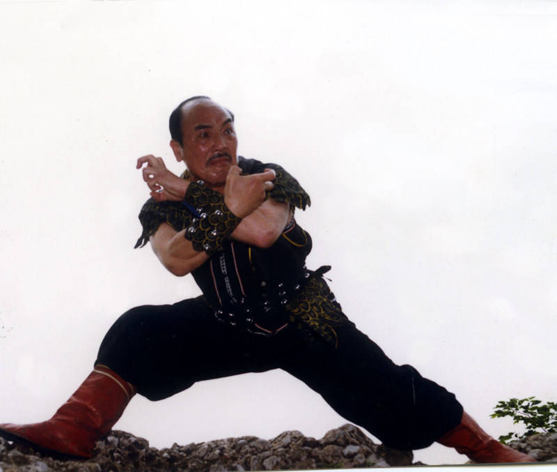 原创岩鹰拳纳入第五批国家非物质文化遗产名录