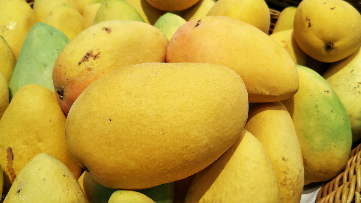 柬埔寨芒果输入东博会举办地