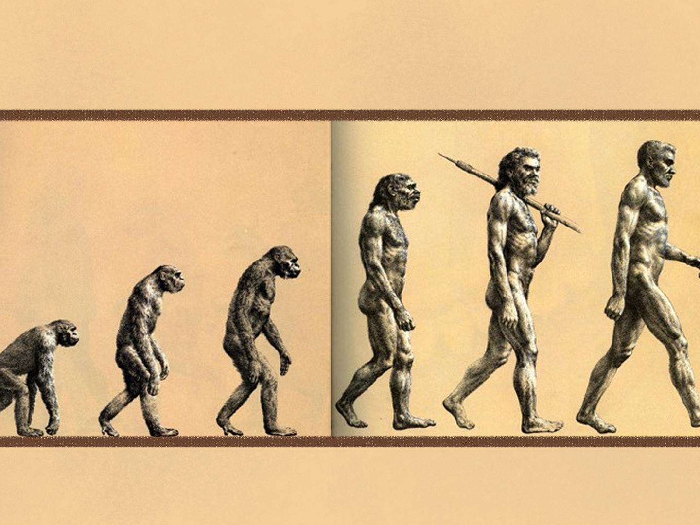 进化论遭质疑,人类真是"猴子"变得?科学家做出解释